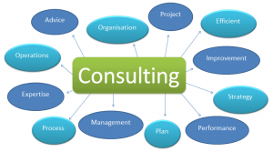 Business Consultants 14