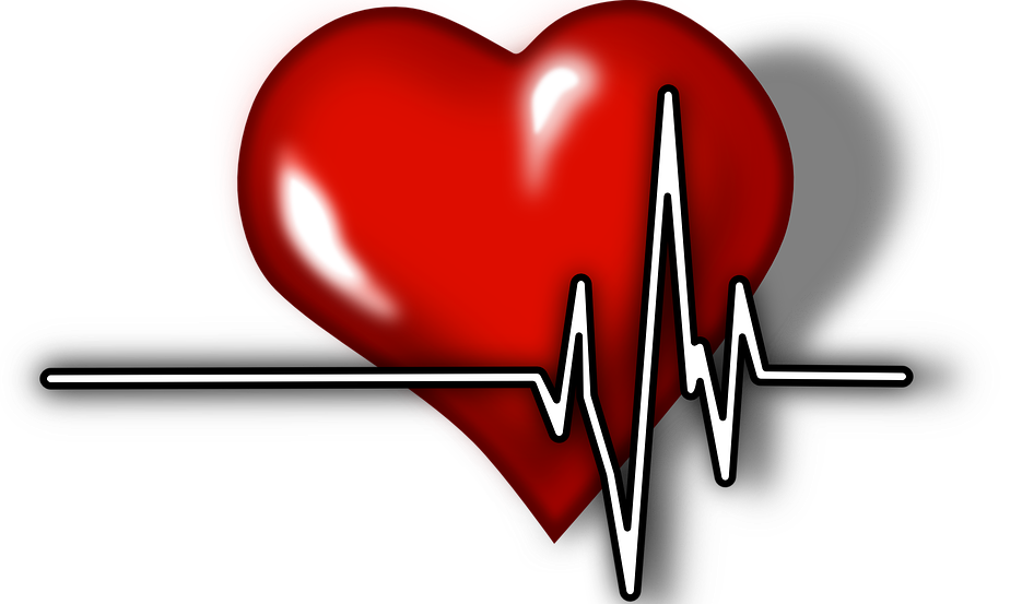 heart illustration 2